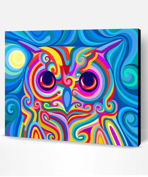 Colorful Owl Paint By Number