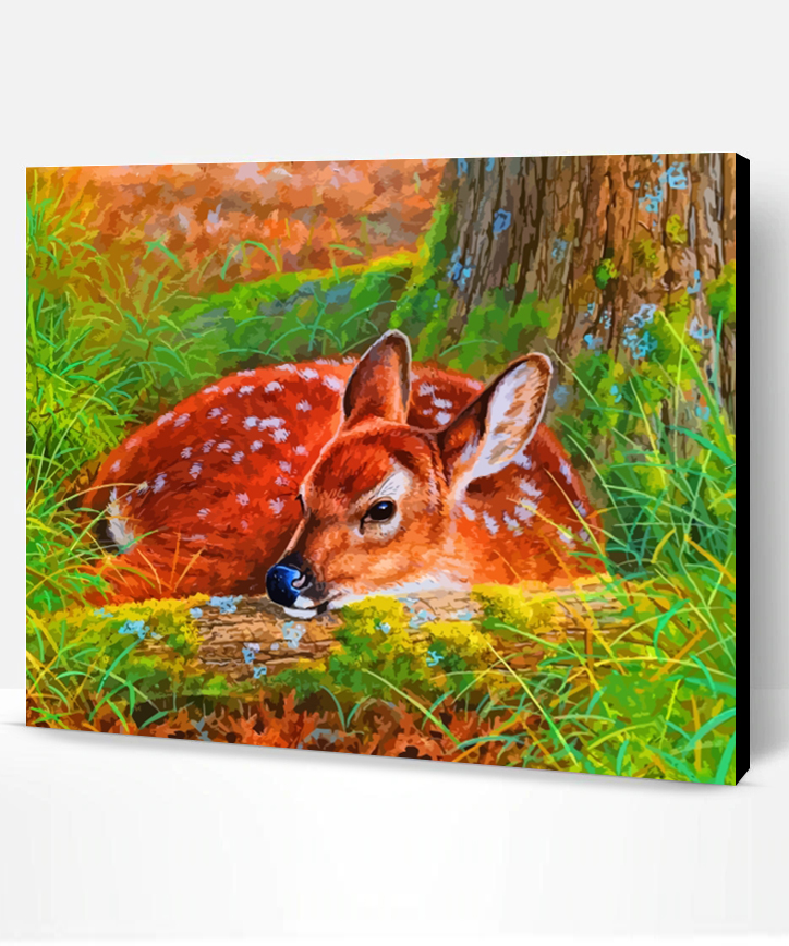 Female Deer Paint By Numbers - Paint By Numbers PRO