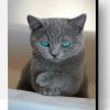 Russian Blue Cat Paint By Number