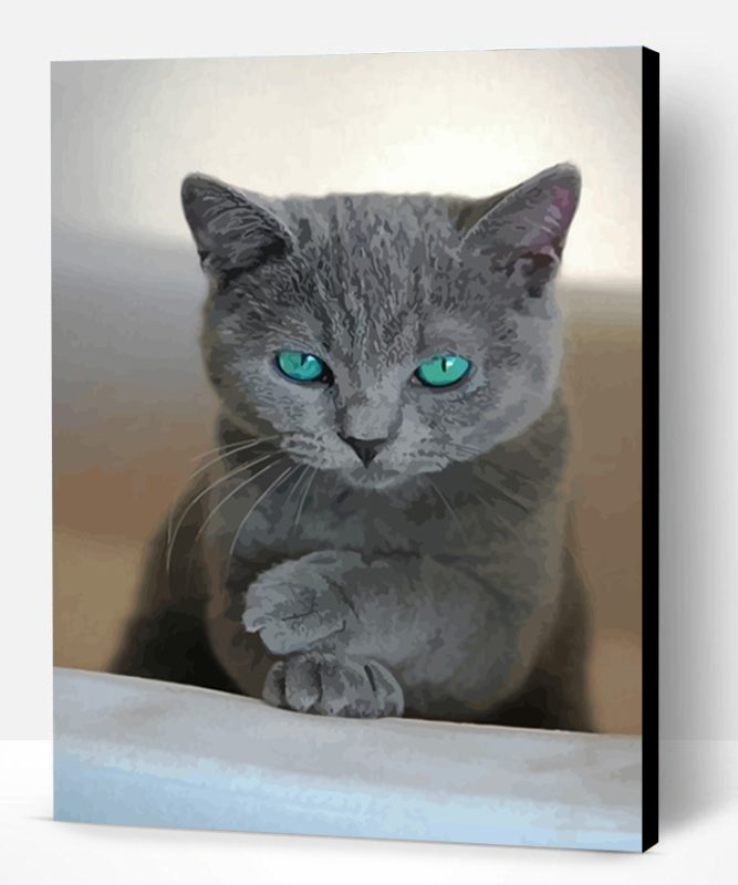 Russian Blue Cat Paint By Number