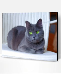 Russian Blue Cat Paint By Number