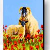 Sheep And Poppies Paint By Number