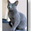 Adorable Russian Blue Cat Paint By Number