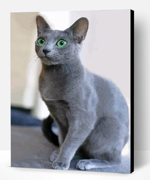 Adorable Russian Blue Cat Paint By Number