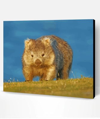 Australia Wombat Paint By Number