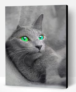 Beautiful Russian Blue Cat Paint By Number