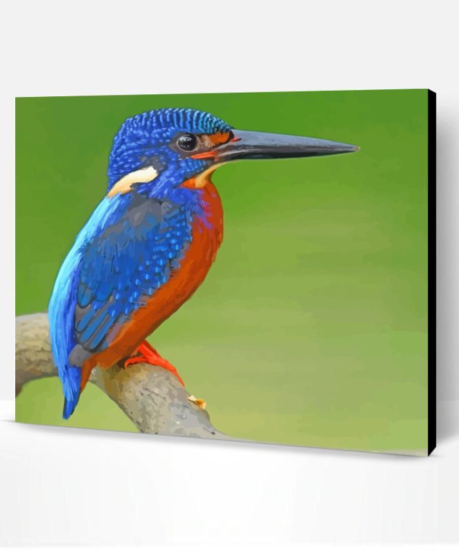 Blue Kingfisher Bird Paint By Number