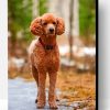 Brown Poodle Paint By Number