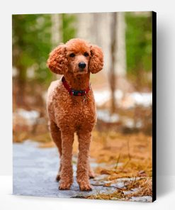 Brown Poodle Paint By Number