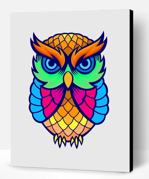 Colorful Owl Paint By Number