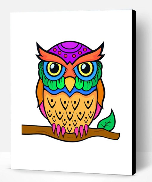 Colorful Owl Paint By Number