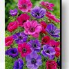 Colorful Anemone Paint By Number
