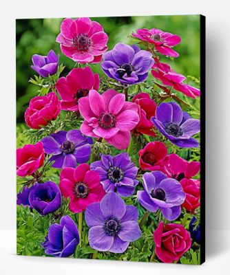 Colorful Anemone Paint By Number