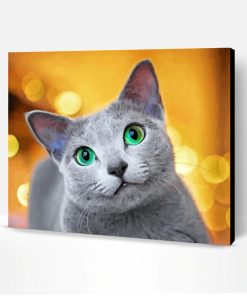 Cute Russian Blue Cat Paint By Number