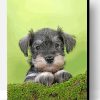 Cute Schnauzer Paint By Number