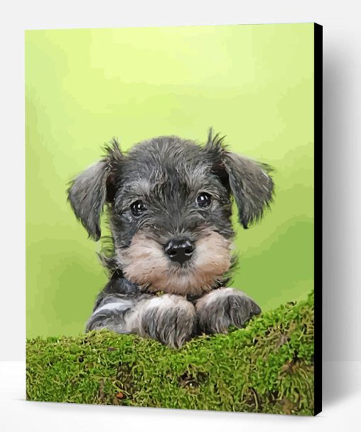 Cute Schnauzer Paint By Number