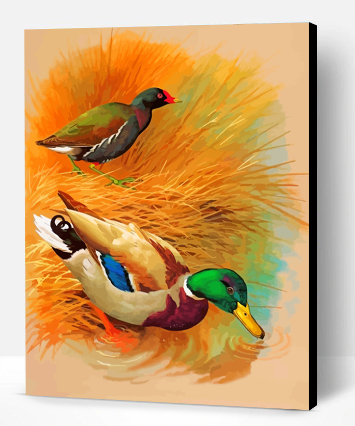 Domestic Ducks Paint By Numbers Paint By Numbers PRO