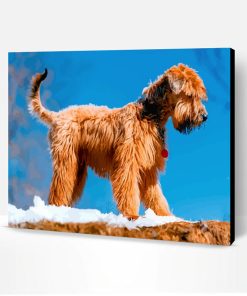 Golden Wheaten Terrier Paint By Number