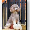 Grey Poodle Paint By Number