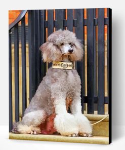 Grey Poodle Paint By Number