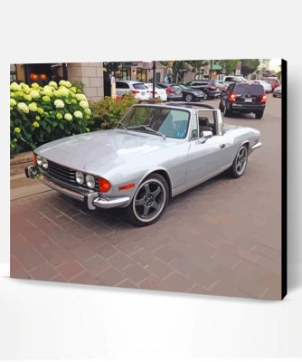 Grey Triumph Stag Paint By Number