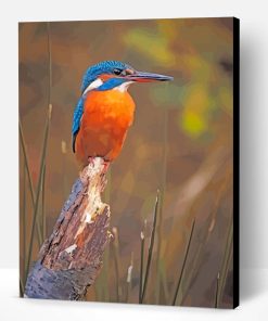 Kingfisher Bird Paint By Number