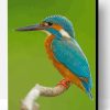 Kingfisher Paint By Number