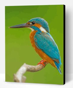 Kingfisher Paint By Number