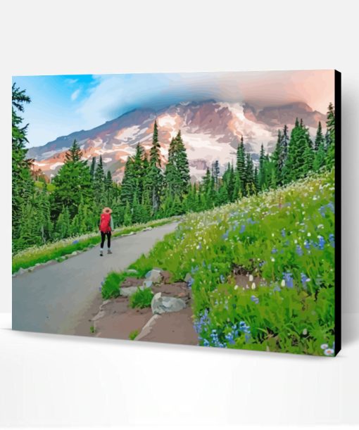 Mount Rainier National Park Paint By Number