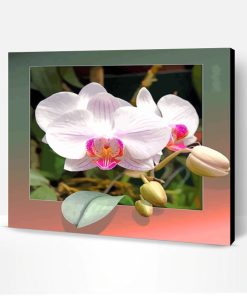 Orchid Flowers Paint By Number