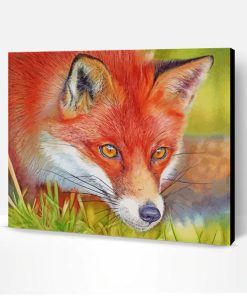 Red Fox Paint By Number