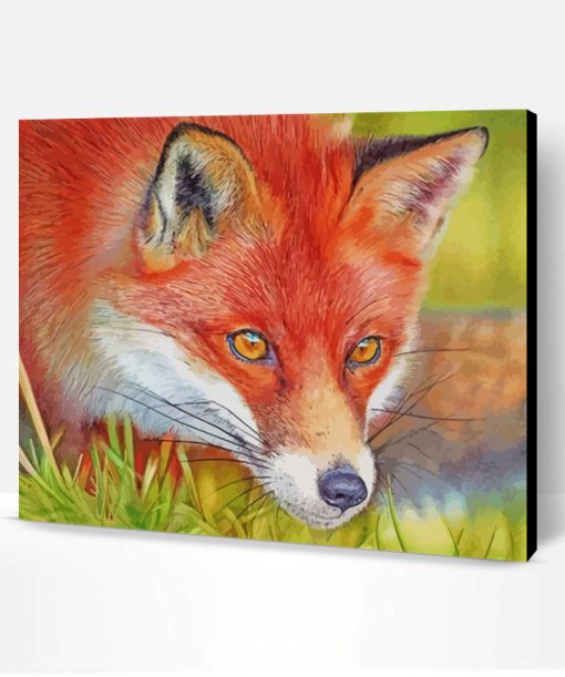 Red Fox Paint By Number