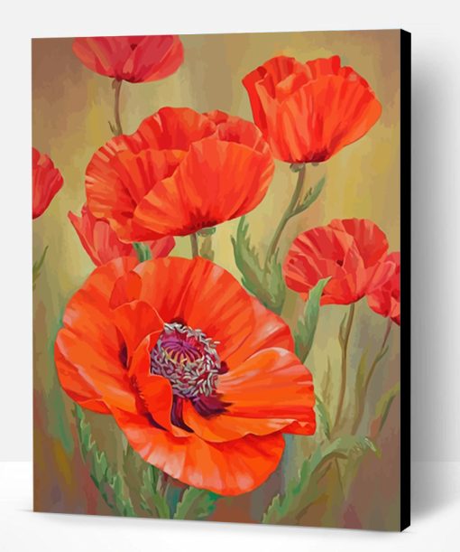 Red Poppies Paint By Number