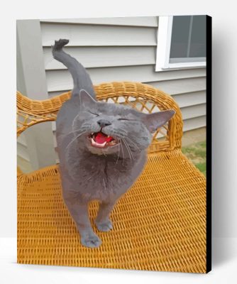 Russian Blue Cat Paint By Number