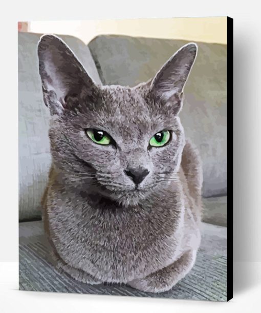 Mad Russian Blue Cat Paint By Number