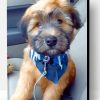 Soft Coated Wheaten Terrier Paint By Number