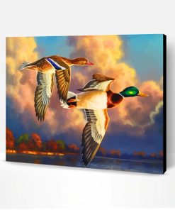 Waterfowl Birds Paint By Number