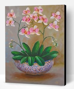 White Orchid Flowers Paint By Number