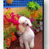 White Poodle Paint By Number