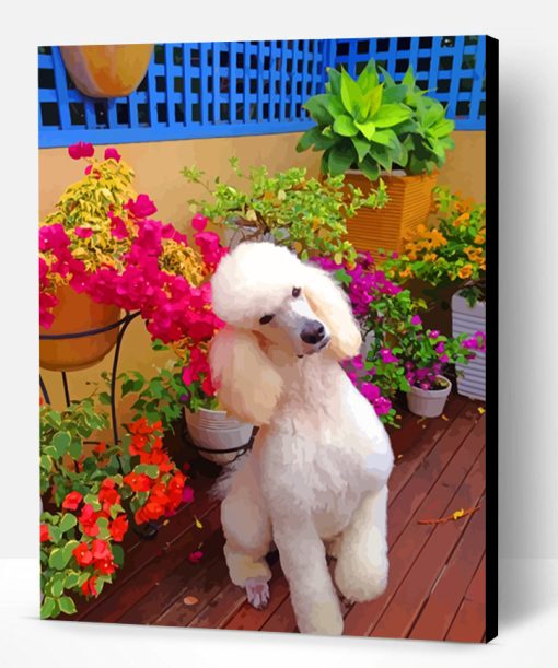 White Poodle Paint By Number