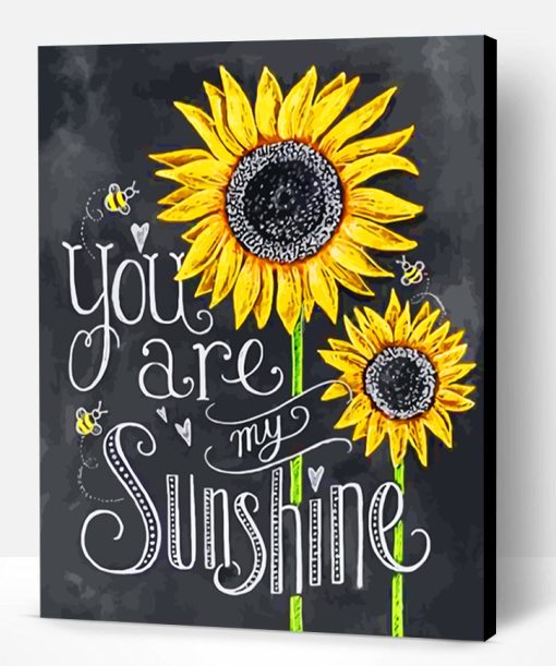 You Are My Sunshine Paint By Number