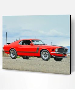 Ford Mustang Boss Paint By Number
