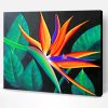 Aesthetic Bird Of Paradise Flower Paint By Number