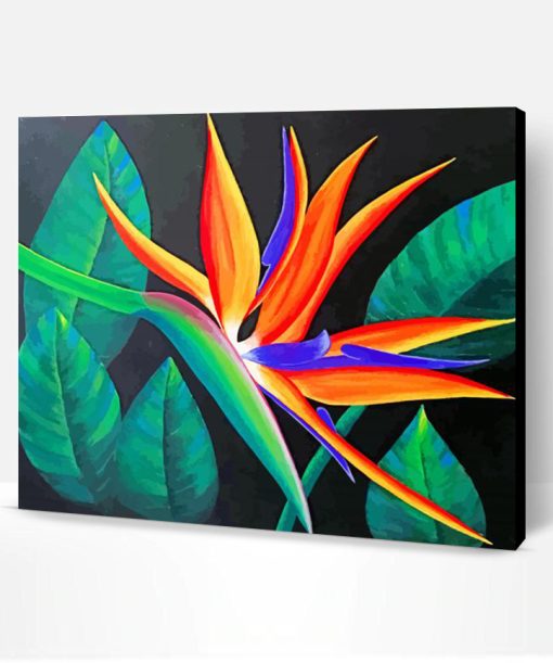 Aesthetic Bird Of Paradise Flower Paint By Number