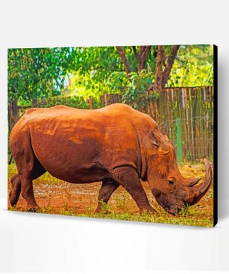 African Rhinoceros Paint By Number