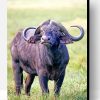 African Buffalo Animal Paint By Number