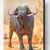 African Buffalo Paint By Number