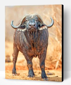 African Buffalo Paint By Number