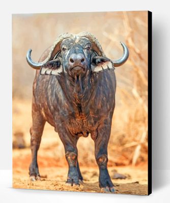 African Buffalo Paint By Number