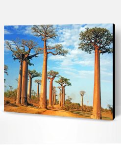 Alley Of The Baobabs Paint By Number